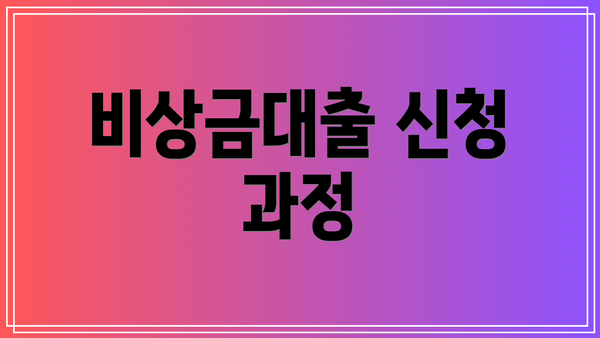 비상금대출 신청 과정