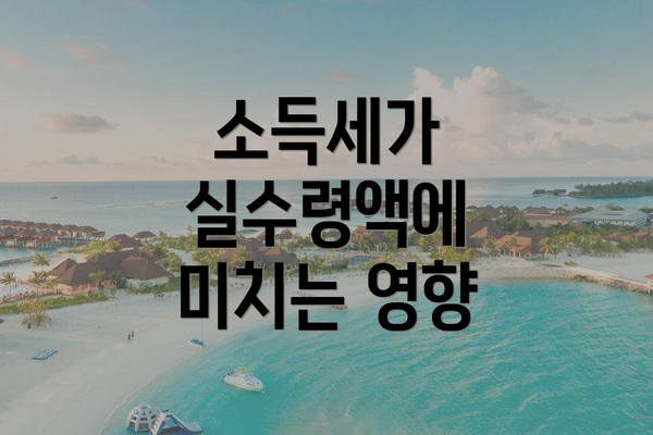 소득세가 실수령액에 미치는 영향