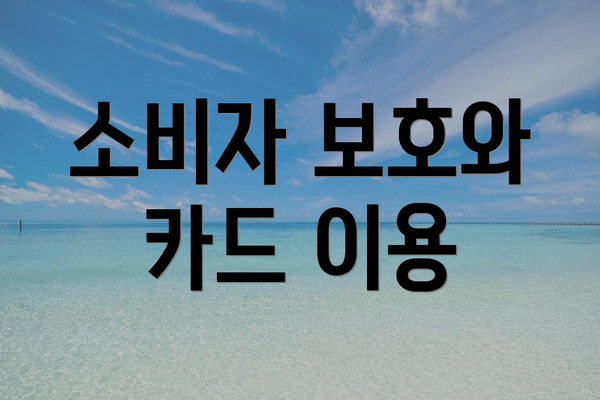 소비자 보호와 카드 이용