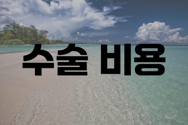 수술 비용
