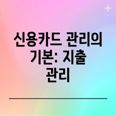 신용카드 관리의 기본: 지출 관리