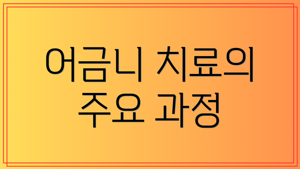 어금니 치료의 주요 과정