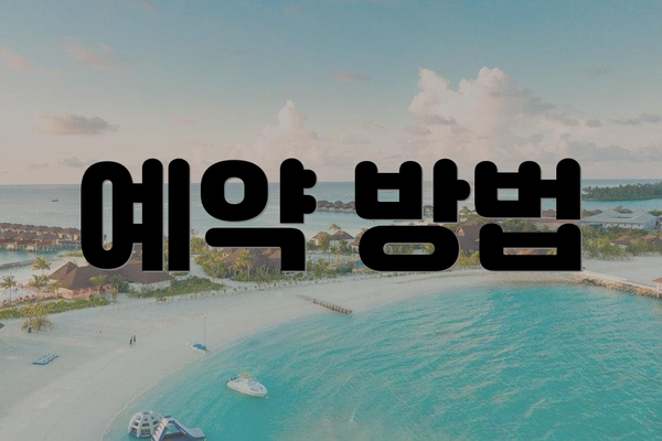 예약 방법