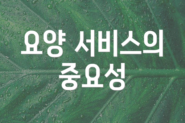 요양 서비스의 중요성
