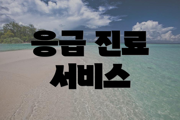 응급 진료 서비스