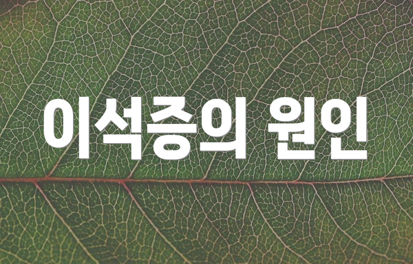 이석증의 원인