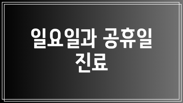 일요일과 공휴일 진료