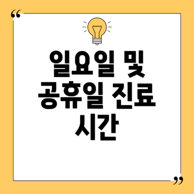 일요일 및 공휴일 진료 시간