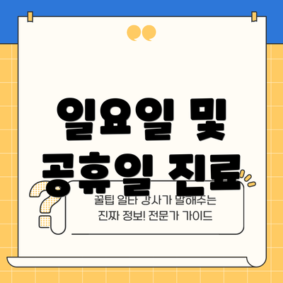 일요일 및 공휴일 진료