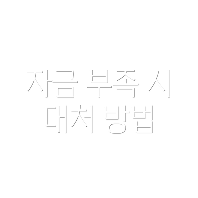 자금 부족 시 대처 방법