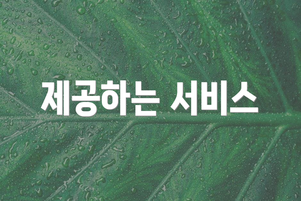 제공하는 서비스