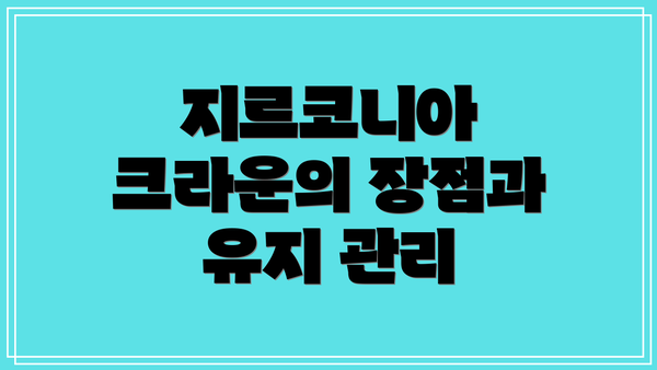 지르코니아 크라운의 장점과 유지 관리