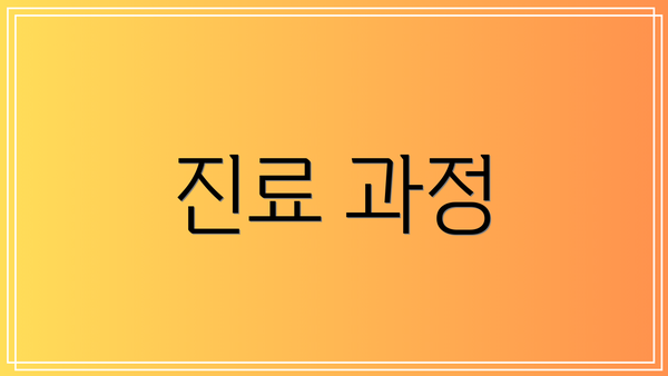 진료 과정