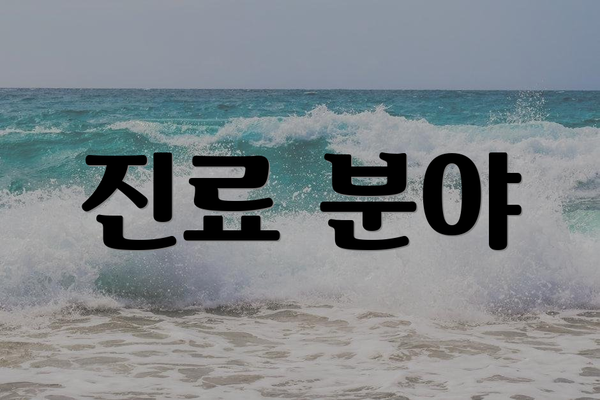 진료 분야