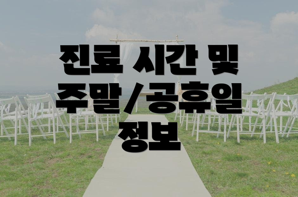 진료 시간 및 주말/공휴일 정보