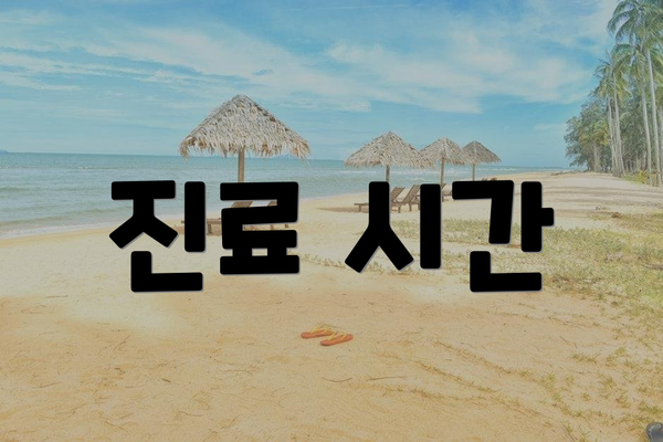 진료 시간