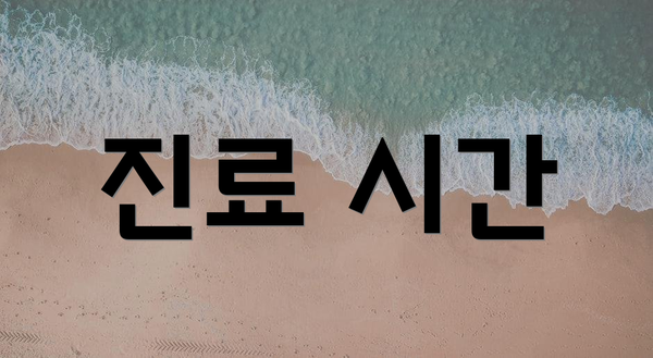 진료 시간