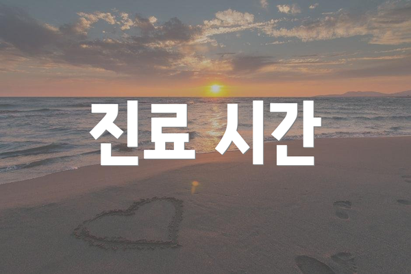 진료 시간