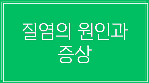 질염의 원인과 증상