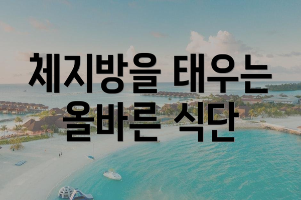 체지방을 태우는 올바른 식단