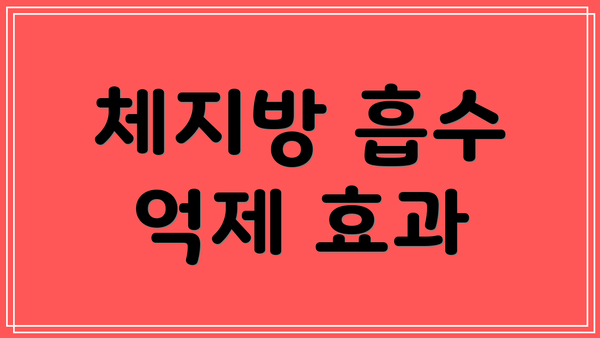 체지방 흡수 억제 효과