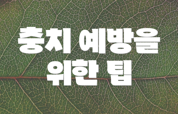 충치 예방을 위한 팁