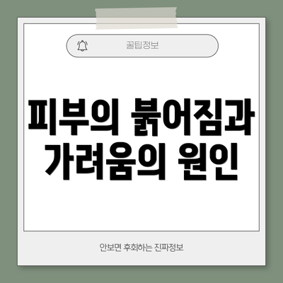 피부의 붉어짐과 가려움의 원인