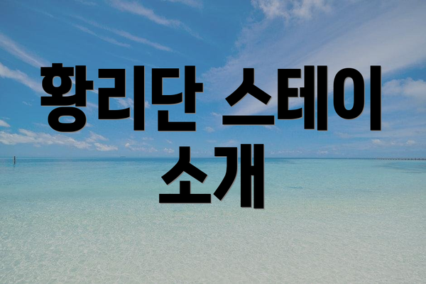 황리단 스테이 소개