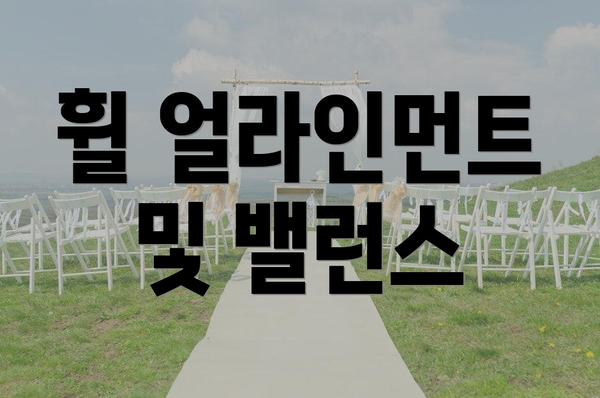 휠 얼라인먼트 및 밸런스