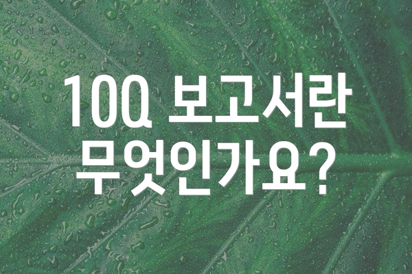 10Q 보고서란 무엇인가요?