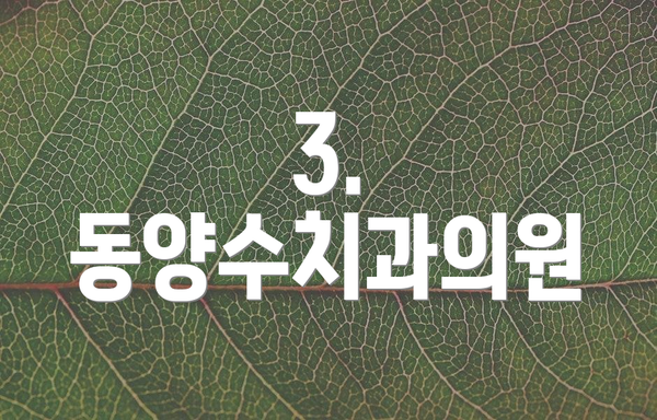 3. 동양수치과의원