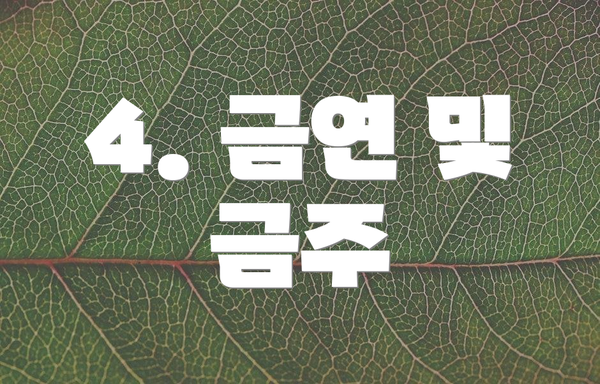 4. 금연 및 금주