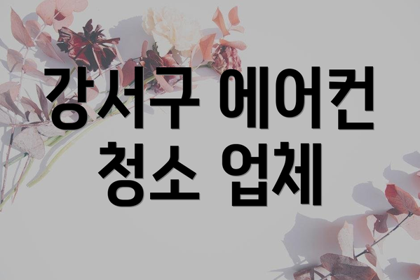 강서구 에어컨 청소 업체