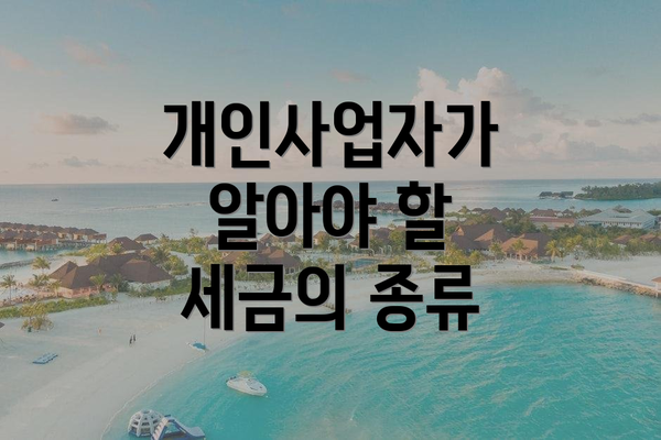 개인사업자가 알아야 할 세금의 종류