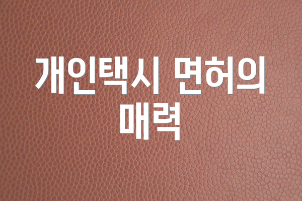 개인택시 면허의 매력