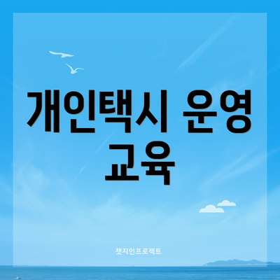 개인택시 운영 교육