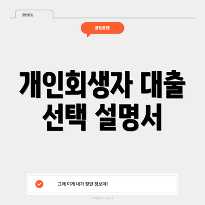 개인회생자 대출 선택 설명서