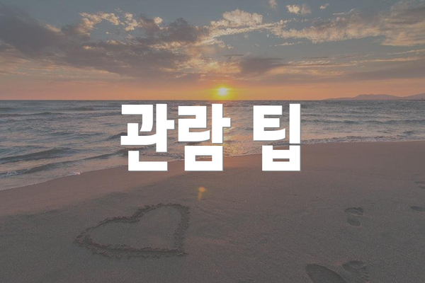 관람 팁