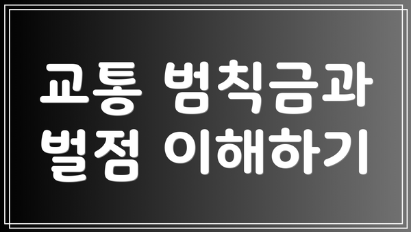 교통 범칙금과 벌점 이해하기
