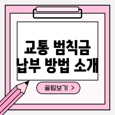 교통 범칙금 납부 방법 소개