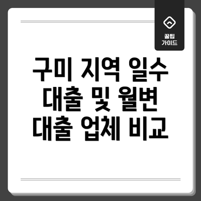 구미 지역 일수 대출 및 월변 대출 업체 비교