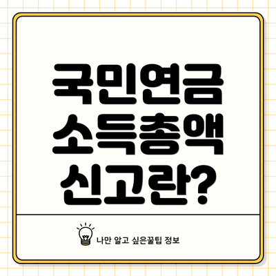 국민연금 소득총액 신고란?