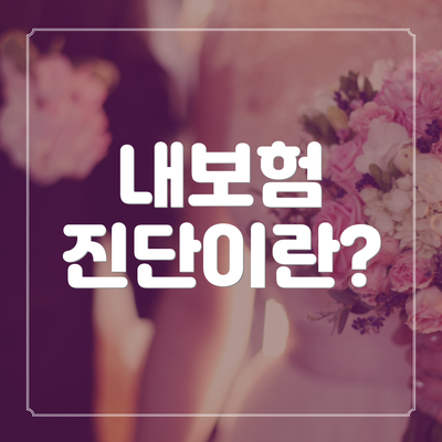 내보험 진단이란?