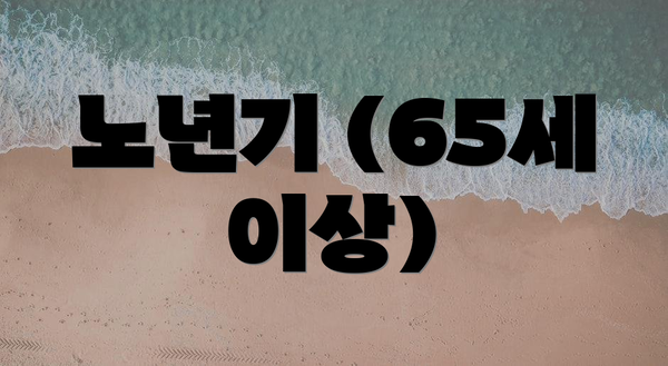 노년기 (65세 이상)