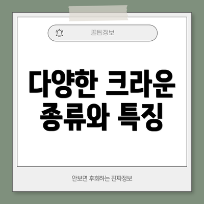 다양한 크라운 종류와 특징