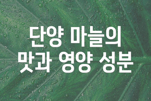 단양 마늘의 맛과 영양 성분