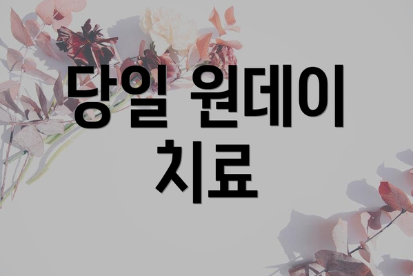 당일 원데이 치료