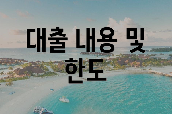 대출 내용 및 한도