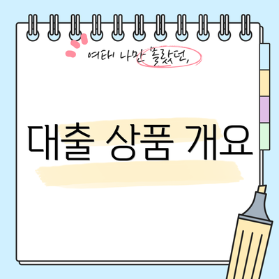 대출 상품 개요