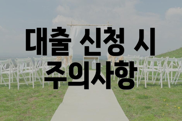 대출 신청 시 주의사항
